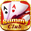 rummy tiger 51 download icon