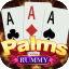 rummy list icon