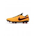 Nike Tiempo Legend Viii FG